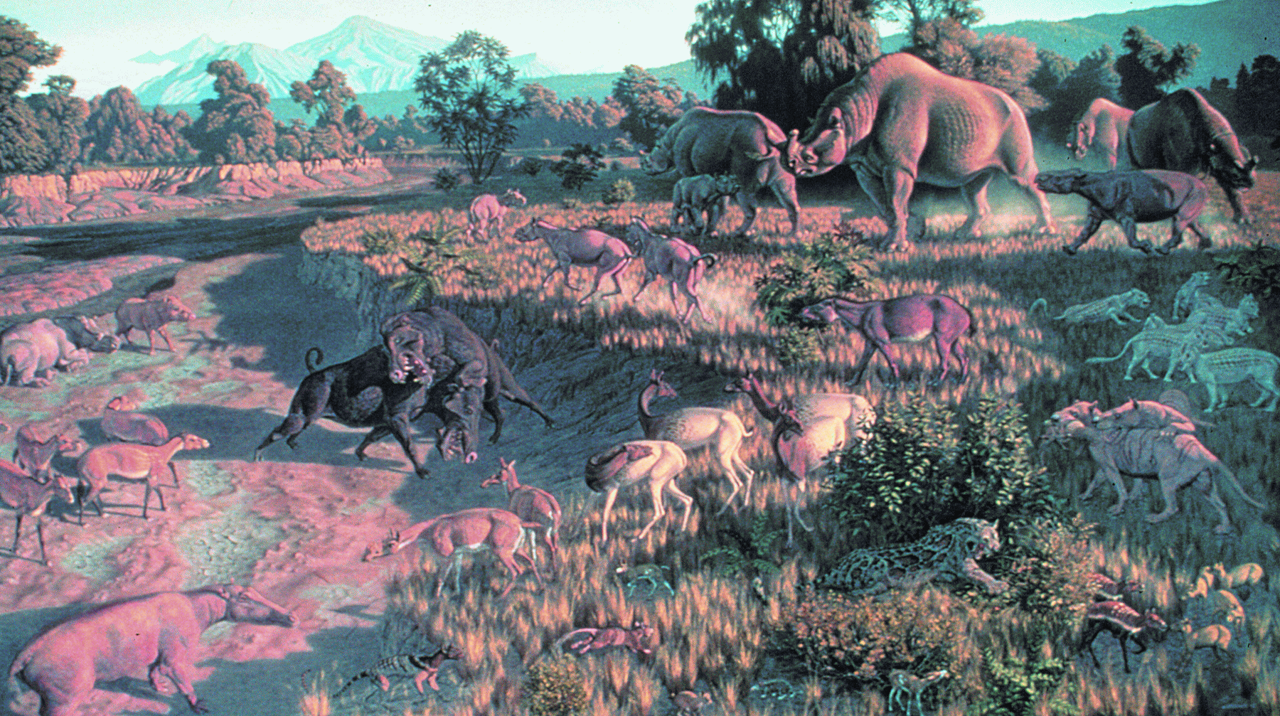 Brule habitat reconstruction 